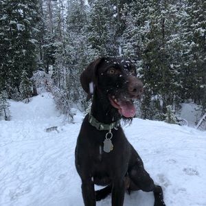 Meet your Posher, Maria